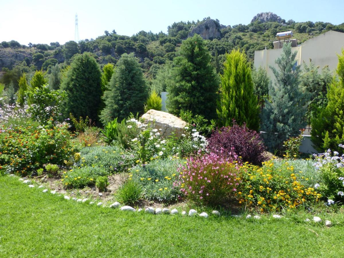 Sofia With Garden, Pool And Lounge Areas Villa Kolymbia